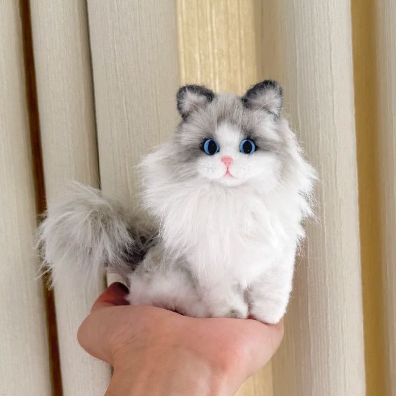 Cat owners must watch! Cat's Eye Color Conceals Personality Password, with an accuracy rate of 99%